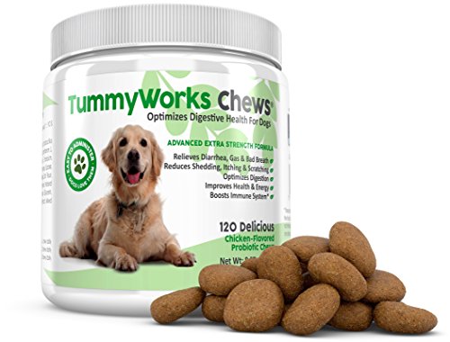 Product Cover TummyWorks Probiotic Chews for Dogs. Relieves Diarrhea, Upset Stomach, Gas, Constipation & Bad Breath, Itching, Allergies & Yeast Infections. With Digestive Enzymes & Prebiotics. Made in USA 120 count