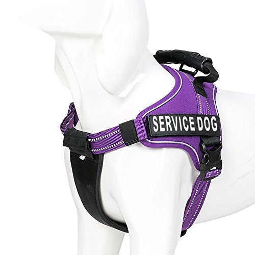 Product Cover Chai's Choice Service Dog Vest Harness Best with 2 Reflective Service Dog Patches. Matching 3M Reflective Leash Available. See Sizing Chart at Left! (Medium, Purple)