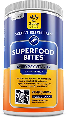 Product Cover Superfood Chewable Treats for Dogs - Grain Free Fruit & Veggies Dog Supplement - Spirulina, Pumpkin, Coconut Oil & Kelp - Vitamins, Antioxidants & Omega 3 6 9 - Digestive & Immune Support - 90 Count