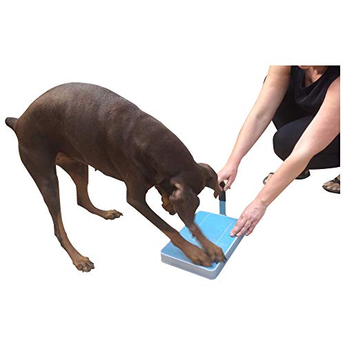 Product Cover Digger Dog Nail File Stress Free Alternative to Dog Nail Clippers and Dog Nail Grinders (Blue Model 2018)