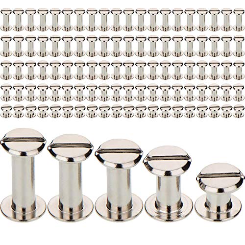 Product Cover TecUnite 100 Pieces Silvery Chicago Screws Metal Screw Posts Nail Rivet Chicago Button for Leather Bookbinding Crafts, 1/4, 3/8, 1/2, 9/16 and 11/16 Inches