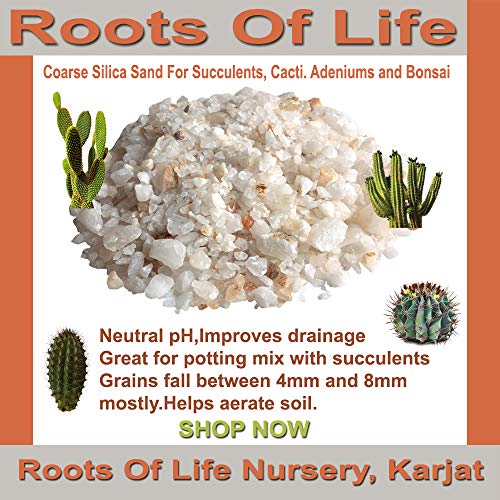 Product Cover RootsOfLife Silica Sand To Grow Cactus, Succulents and Bonsai, 900 gms