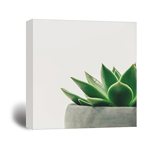 Product Cover wall26 Square Canvas Wall Art - A Succulent Plant in a Pot - Giclee Print Gallery Wrap Modern Home Decor Ready to Hang - 24x24 inches