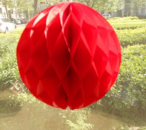 Product Cover Daily Mall 10Pcs 8 inch Art DIY Tissue Paper Honeycomb Balls Party Partners Design Craft Hanging Pom-Pom Ball Party Wedding Birthday Nursery Decor (Red Color)