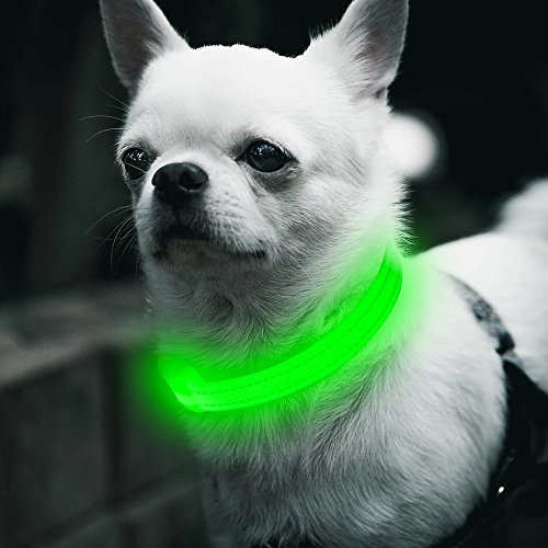 Product Cover BSEEN Led Dog Collar XS, USB Rechargeable Glowing Safety Cat Collar Light Up Adjustable Reflective Pet Collar for Small Dog & Cat - Green