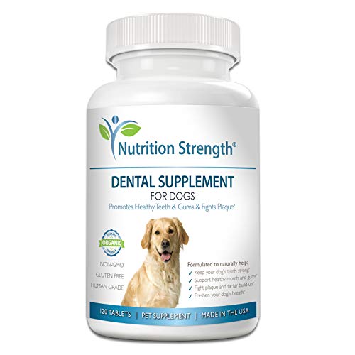 Product Cover Nutrition Strength Dental Care for Dogs, Daily Supplement for Healthy Dog Gums and Teeth with Organic Kelp, Strawberry Leaf, Pumpkin Seed for Dog Mouth and Teeth Cleaning, 120 Chewable Tablets