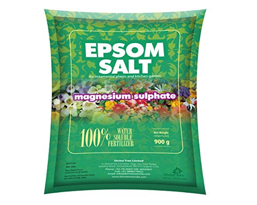 Product Cover DIVINE TREE Epsom Salt Magnesium Sulfate for Speed Up Plant Growth Vegetables & Plants Nutrient - 900 Gm
