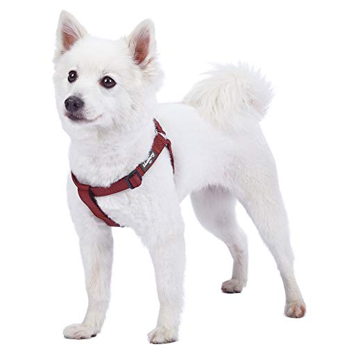 Product Cover Blueberry Pet Essentials 19 Colors Step-in Classic Dog Harness, Chest Girth 16.5