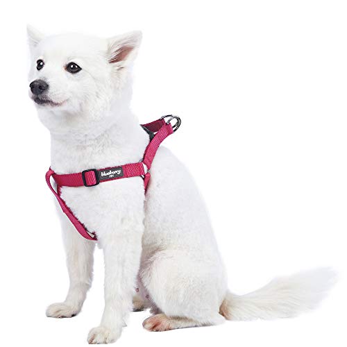Product Cover Blueberry Pet 19 Colors Step-in Classic Dog Harness, Chest Girth 20