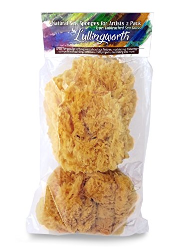 Product Cover Natural Sea Sponges for Artists - Unbleached 5