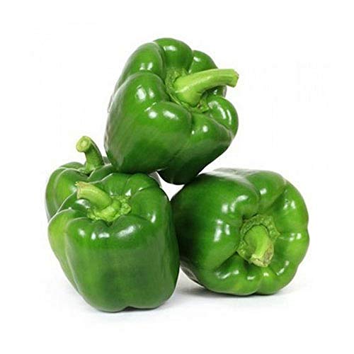 Product Cover Fresh Capsicum - Green, 500g Pack