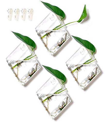 Product Cover GeoTerrariums Diamond Terrariums Hanging Wall Planters, Clear Glass (7 x 5 inches), Pack of 4