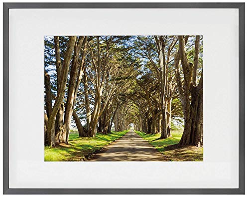 Product Cover Golden State Art 11x14 Picture Frame - Dark Gray Aluminum (Shiny Brushed) - Fit Photo 8x10 with Ivory Mat or 11x14 Without Mat - Metal Frame Wall Mounting - Real Glass (11x14, Dark Gray-Silver)