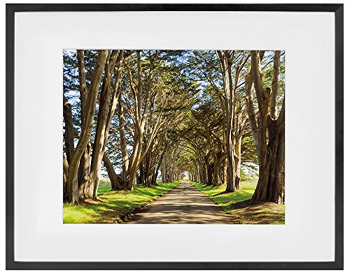 Product Cover Golden State Art 11x14 Picture Frame - Black Aluminum (Shiny Brushed) - Fit Photo 8x10 with Ivory Mat or 11x14 Without Mat - Metal Frame Wall Mounting - Real Glass (11x14, Black)