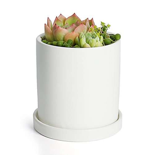 Product Cover Greenaholics Plant Pots - 4.3 Inch Ceramic Matte Surface Cylinder Ceramic Planters for Succulents, Cactus, Flower Planting, with Drainage Hole and Tray, Matte White