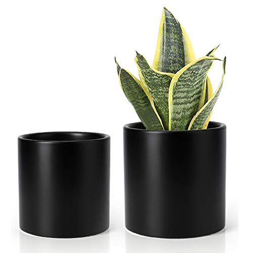 Product Cover Greenaholics Plant Pots - 5.9 + 4.7 Inch Matt Ceramic Planter for Flower, Cactus, Succulent Planting, with Drainage Hole, Set of 2, Black