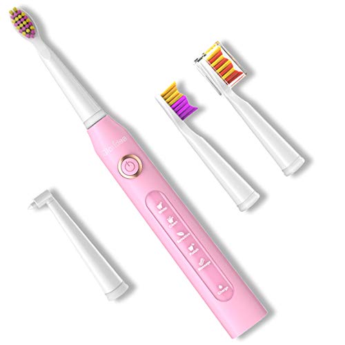 Product Cover 5 Modes Teeth Whitening Electric Toothbrush Sonic Toothbrush with 3 heads and 1 Interdental head, Travel USB Rechargeable toothbrushes with Smart Timer, Waterproof Pink for Girls by Gloridea