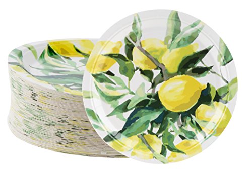 Product Cover Disposable Plates - 80-Count Paper Plates, Lemon Party Supplies for Appetizer, Lunch, Dinner, and Dessert, Brunch and Garden Party, 9 x 9 Inches