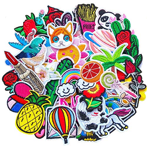 Product Cover Qingxi Charm 48pcs Random Assorted Styles Sewing on/Iron on Embroidered Patches Clothes Dress Hat Pants Shoes Curtain Sewing Decorating DIY Craft Embarrassment Applique Patches (Assorted 48pcs)