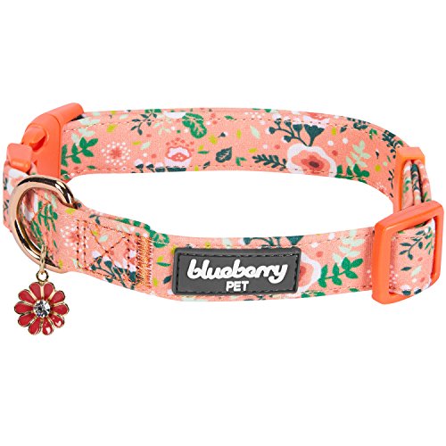 Product Cover Blueberry Pet 6 Patterns Spring Scent Inspired Garden Balsam Adjustable Dog Collar in Apricot, Medium, Neck 14.5