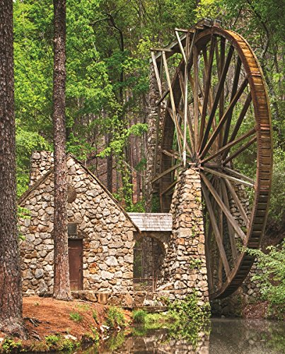 Product Cover Springbok Puzzles -Water Wheel Alzheimer and Dementia Puzzle - 36 Piece - 23.5 by 18 inches Puzzle - Made in USA - Unique Cut Interlocking Pieces