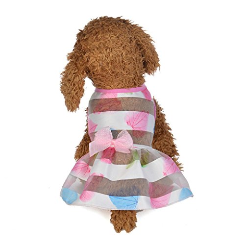 Product Cover Wakeu Small Dog Girl Dress Pet Puppy Transparent Colorful Vest Shirt Clothes (M, 01)
