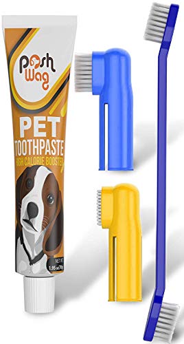 Product Cover Dog Toothpaste and Toothbrush Set [REMOVES FOOD DEBRIS] Double Sided with Long Curved Handle [SUPER EASY CLEANING] - Best Soft Silicone Pet Toothbrush for Cats And Dogs [EXPANDABLE FINGER ENTRY] - Sma