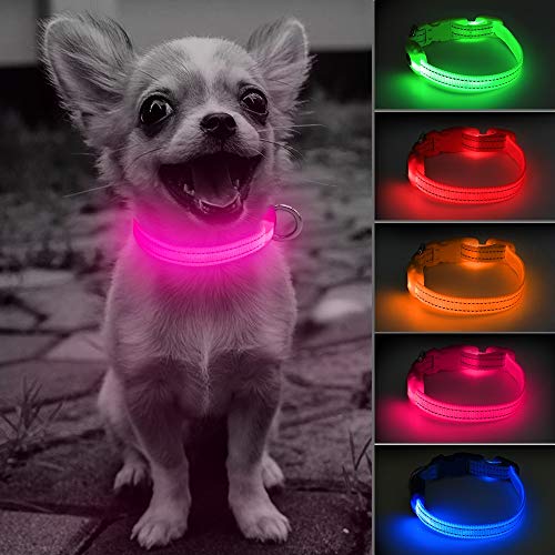Product Cover Clan_X Led Dog Collar, USB Rechargeable Glowing Pet Collar for Small Dogs& Cats, Reflective Light Up Collars Keep Your Pets Visible & Safe (XS, Pink)