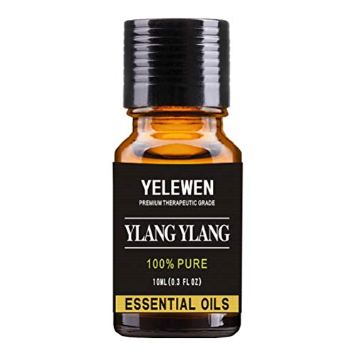 Product Cover Aromatherapy Ylang Ylang Essential Oils 100% Pure Organic & Therapeutic Grade Scented Oils 10ml Perfect for Diffuser, Meditation, Relaxation, Sleep, Cosmetics, Soaps, Candles, Skin Care