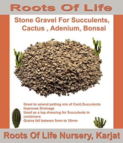 Product Cover RootsofLife Granite Gravel for cactus Succulents,adenium and bonsai, 900 gms
