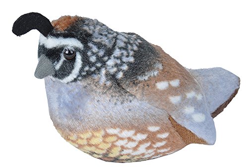 Product Cover Wild Republic Audubon Birds California Quail Plush with Authentic Bird Sound, Stuffed Animal, Bird Toys for Kids and Birders