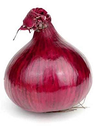 Product Cover Red Grano Onions Seeds, 300+ Premium Heirloom Seeds, Lowest Price for Highest Quality! Fantastic Addition to Your Home Garden!, (Isla's Garden Seeds), Non GMO, 90% Germination Rates!