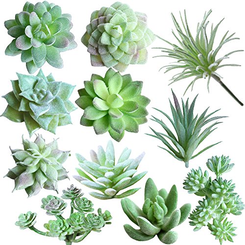 Product Cover Supla 11 Pcs Mini Artificial Succulents Picks Unpotted Faux Succulent Assortment in Flocked Green in Different Type Different Size Succulents Echeveria Agave Floral Arrangement Mother Day' s Gift