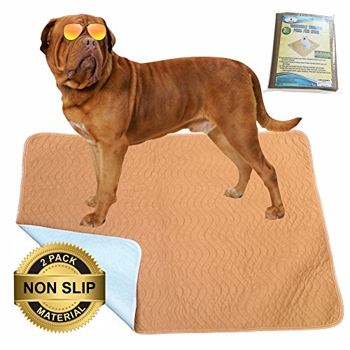Product Cover Hiyapup Washable Pee Pads for Dogs, 2-Pack, Large (36