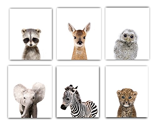 Product Cover Designs by Maria Inc. Nursery Decor Pictures (8x10) | Set of 6 (Unframed) Cute Baby Animal Photography Wall Prints for Boys & Girls Room