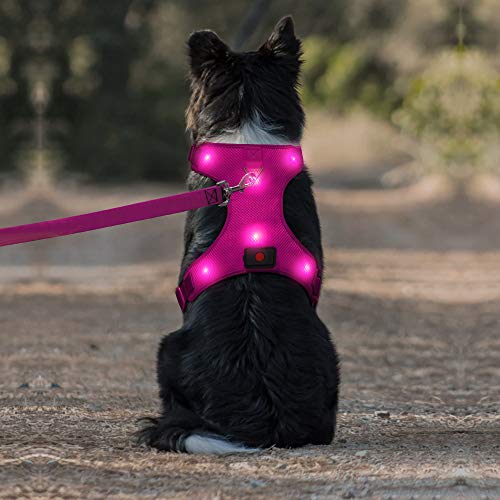 Product Cover Domi LED Dog Harness, Easy Control Led Dog Vest Harness with Adjustible Belt, USB Rechargeable Dog Harness with Comfortable Padded for Your Medium Dogs(M, Pink)