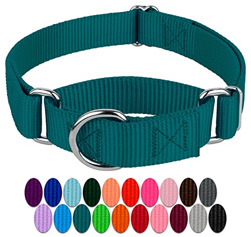 Product Cover Country Brook Petz - Martingale Heavyduty Nylon Dog Collar (Various Sizes & Colors) (Small, 3/4 Inch Wide, Teal)