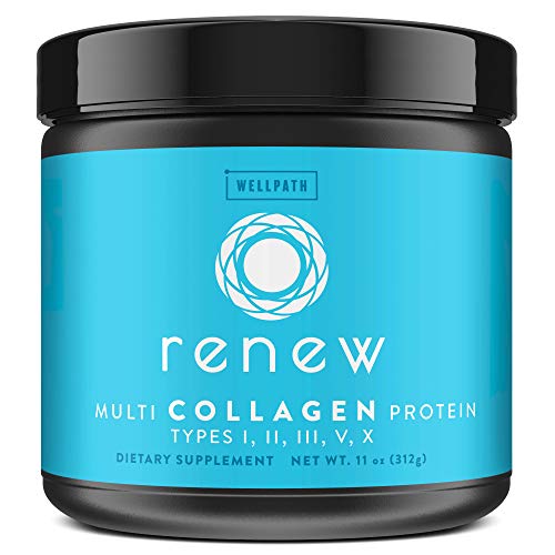 Product Cover Renew Multi Collagen Protein Powder - 5 Types of Collagen - Hydrolyzed Grass-Fed Bovine, Marine, Chicken and Egg Collagen Peptides - Type I, II, III, V, and X - Keto Friendly Supplement