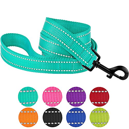Product Cover CollarDirect Nylon Dog Leash 5ft for Daily Outdoor Walking Running Training Heavy Duty Reflective Pet Leashes for Large, Medium & Small Dogs (S, Mint Green)