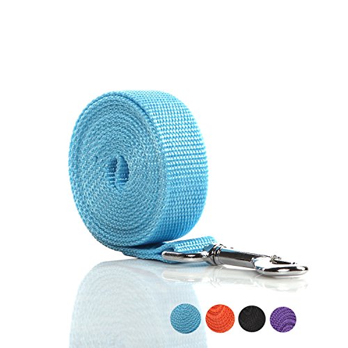 Product Cover SALO Durable Nylon Dog Leash 6 Feet Long, Walking Training Dog Leashes for Medium Large Dogs, 1 Inch Wide (Blue)