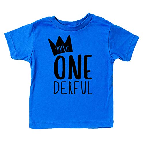Product Cover Olive Loves Apple Boys 1st Birthday Outfit Mr One-Derful Tee Shirt for Boys 1st Birthday Shirt Short Sleeve Blue Top,18 Months