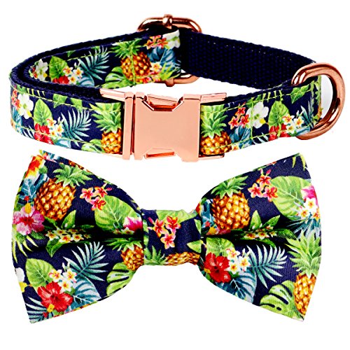 Product Cover csspet Pineapple Cat and Dog Collar Bow Tie, Detachable Bowtie, Adjustable Collar for XS Small Dogs Cat