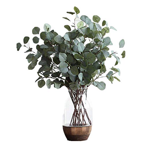 Product Cover Nerseki Artificial Silver Dollar Eucalyptus Leaf Spray in Green Leaves Indoor Outside Home Garden Office Wedding Décor(3 Stems)