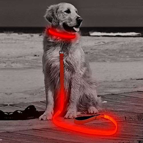 Product Cover HiGuard LED Dog Leash - USB Rechargeable 4ft/120cm Long Nylon Webbing Pet Safety Leash - 3 Flashing Modes Light Up Perfect for Night Walking (Red)