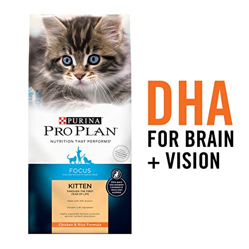 Product Cover Purina Pro Plan High Protein Dry Kitten Food, FOCUS Chicken & Rice Formula - 16 lb. Bag