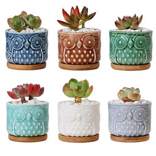 Product Cover T4U 2.5 Inch Ceramic Succulent Planter Pots with Bamboo Saucer Owl Set of 6, Small Ice Crack Glaze Porcelain Cactus Plant Holder Container Gift for Mom Sister for Home Office Desk Garden Decoration