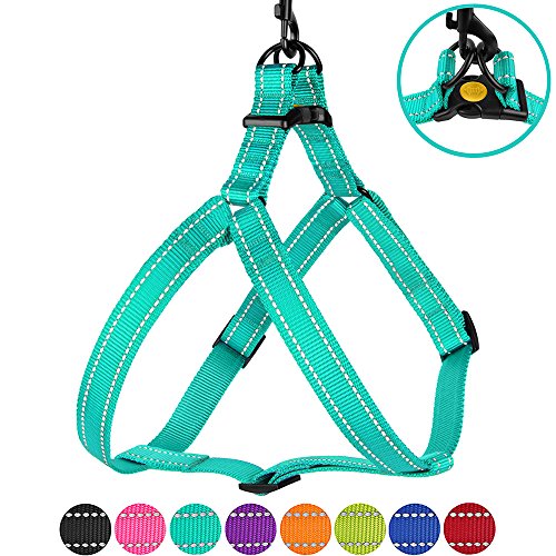 Product Cover CollarDirect Reflective Dog Harness Step in Small Medium Large for Outdoor Walking, Comfort Adjustable Harnesses for Dogs Puppy Pink Black Red Purple Mint Green Orange Blue (Medium, Mint Green)