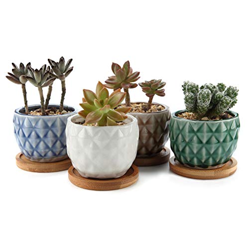 Product Cover T4U 3 Inch Ceramic Pineapple Succulent Cactus Planter Pot Set with Bamboo Saucer Pack of 4, Home and Office Decoration Desktop Windowsill Bonsai Pots Gift for Wedding Birthday Christmas