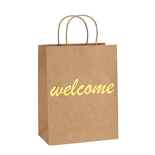 Product Cover BagDream Brown Kraft Paper Welcome Gift Bags Bulk with Handles 25Pcs 8x4.25x10.5 Inches Shopping Gifts Wedding Bags, Good for Packaging, Retail, Party, Craft, Recycled, Goody and Merchandise Bags