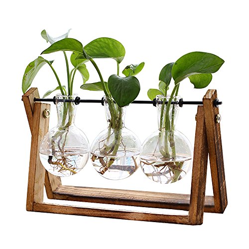 Product Cover Plant Terrarium with Wooden Stand, Air Planter Bulb Glass Vase Metal Swivel Holder Retro Tabletop for Hydroponics Home Garden Office Decoration - 3 Bulb Vase